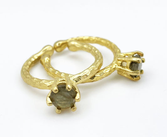 THE ONE RING